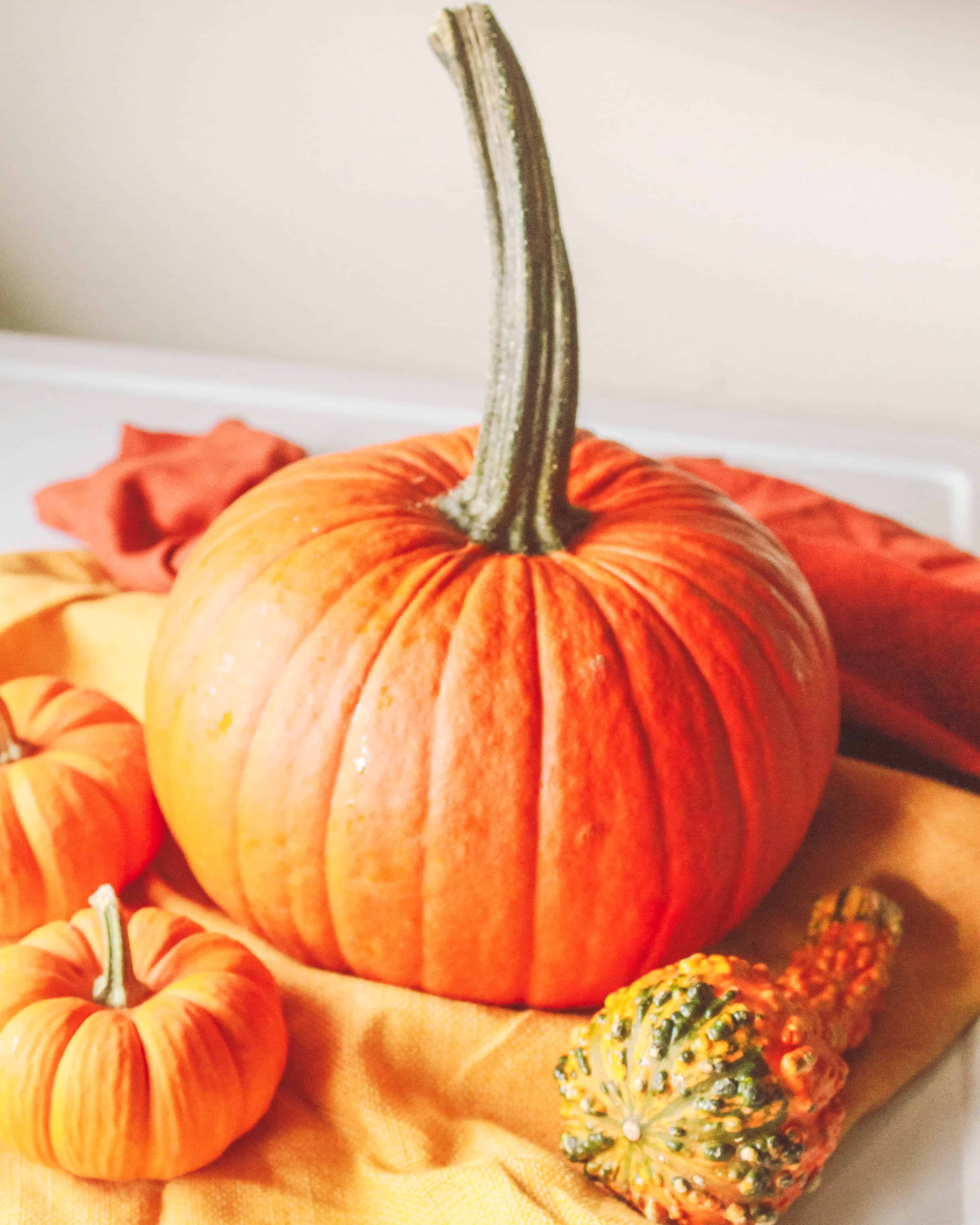 How to make pumpkin puree