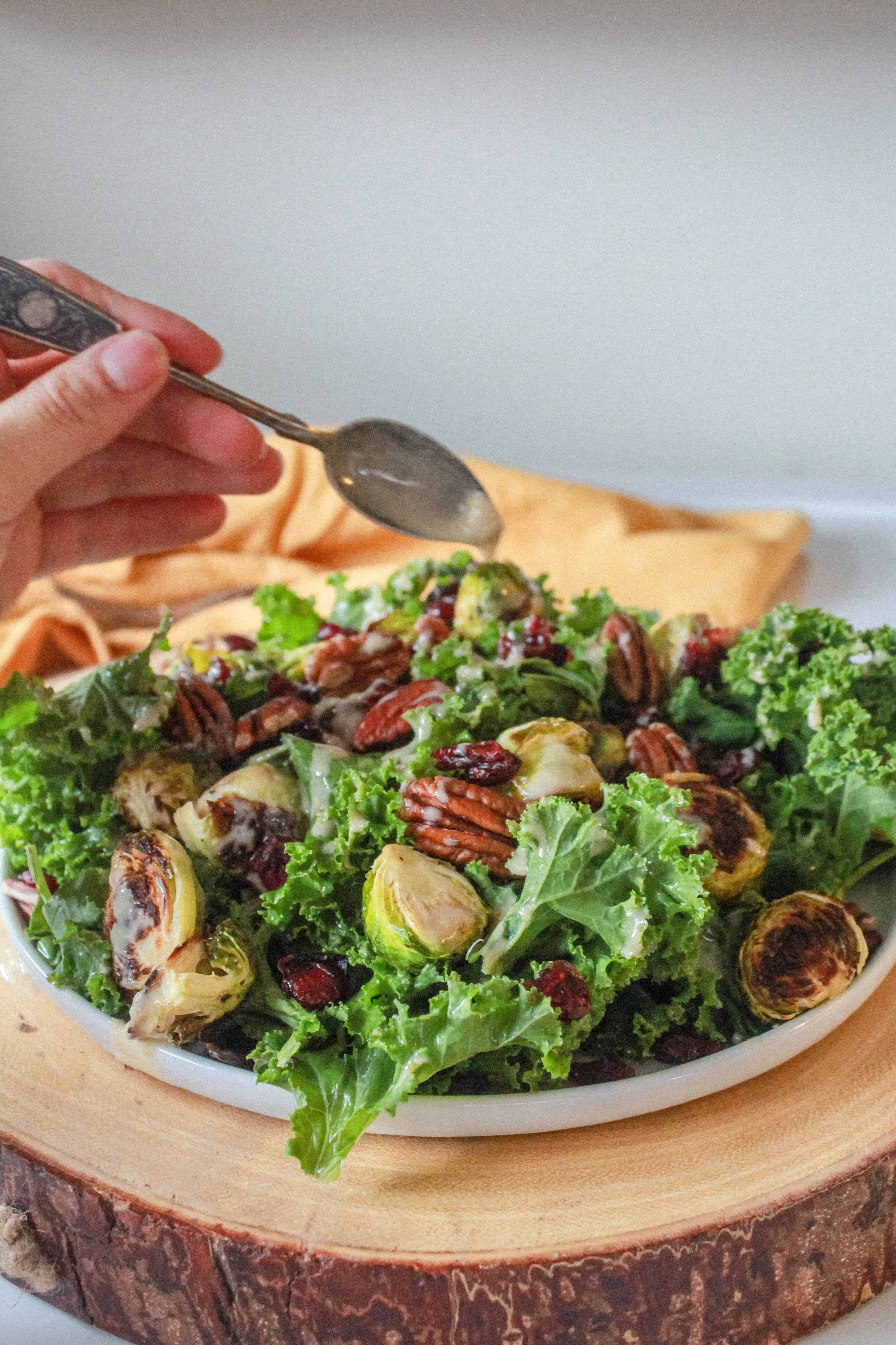 Kale Salad with Brussel Sprouts, Cranberries, and Pecans