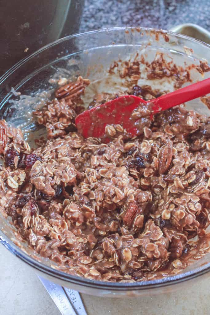 Chocolate Pecan & Cranberry Breakfast Cookies