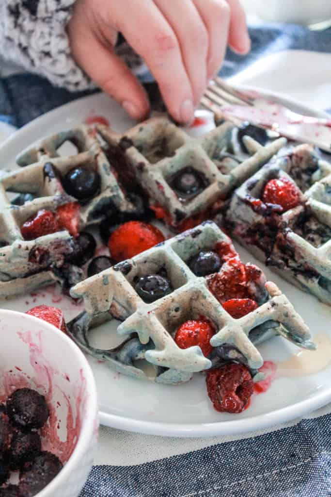 Never go hungry! Make this easy and healthy Gluten-Free Vegan Berry Waffles recipe for breakfast. It's delicious, low cabr, perfect for weight loss, and kid approved! #vegan #glutenfree #veganbreakfast #veganrecipe #glutenfreebreakfast #glutenfreerecipe